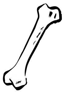 Bone PNG-46846